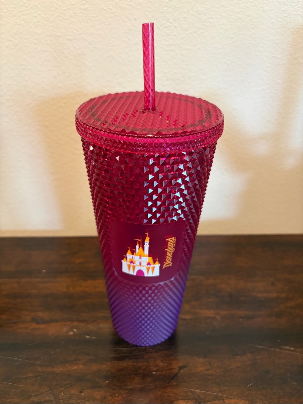 Disneyland Ombre Pink and Purple Starbucks Tumbler